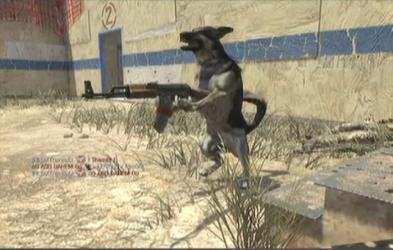 Dog.jpg