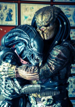 AVP.jpg