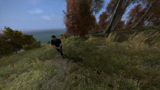 DayZ 2013-12-30 14-03-44-34.jpg