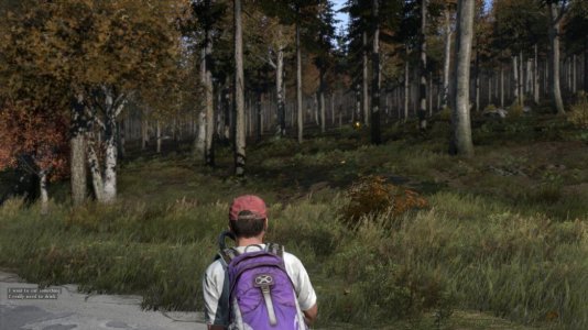DayZ 2013-12-31 14-26-34-19.jpg