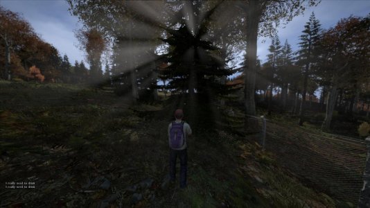 DayZ 2013-12-31 14-27-09-93.jpg