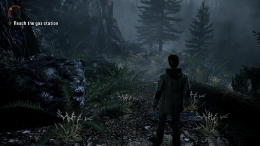 AlanWake 2014-01-01 14-17-42-96.jpg