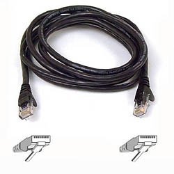 314MX8NXY6L.jpg