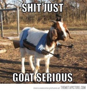funny-goat-weapon-farm.jpg