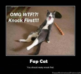 FAP Cat.jpg