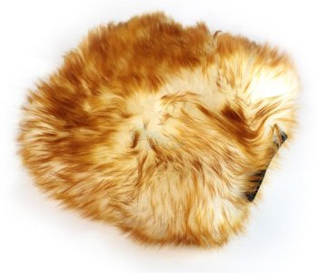 long-haired-mitt.jpg