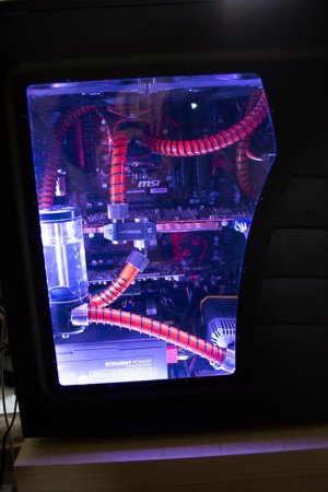 DSC_0969.jpg