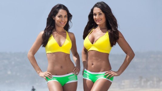 Bella Twins.jpg