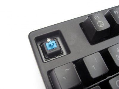 Close-Up and Bezel.jpg
