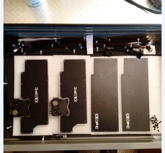 XSPC Blocks & Backs Ready to Paint.jpg