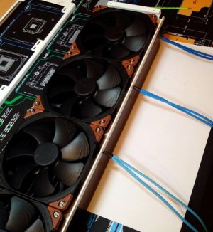 FansOnMount.jpg