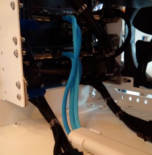 AqueroFan4Connections.JPG