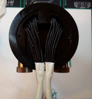 6LED_HolesFilledWithRGB_LEDs.JPG