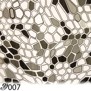 snake film.jpg