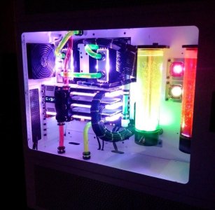NightLight.jpg