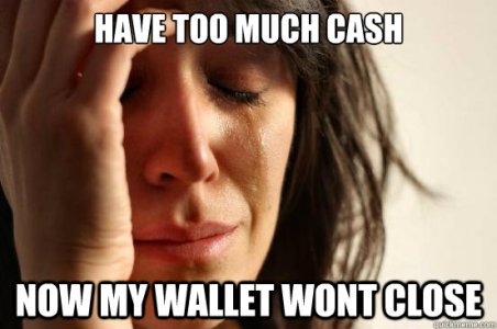 too-much-cash-meme.jpg
