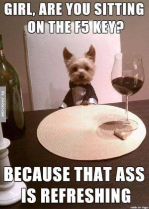 Girl-are-you-sitting-on-the-f5-key---dog-meme.jpg