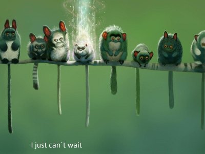funny-critters1.jpg