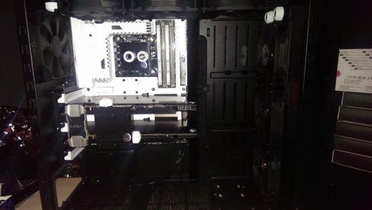 IMAG0245.jpg