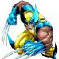 scaccima