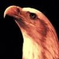 eagle_one