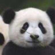 subliminal_panda