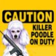 PapercutPoodle