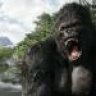 BigDaddyKong