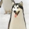 JayGF