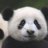 subliminal_panda