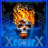 XRogerX